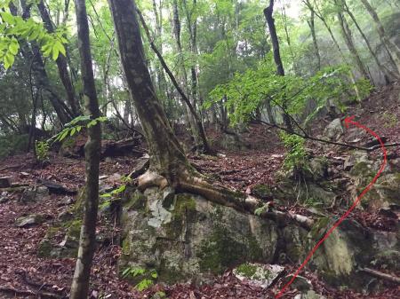 ちょうどここで尾根に乗れそうなポイントがあった