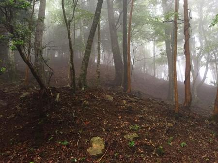 やっとトサカ尾根が見えた！ルーファイ含めて1時間30分もかかってしまった。次の地図に記してある