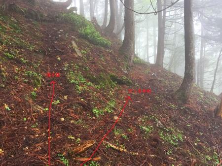 下調べしていたトラバースポイントはこの辺り。わずかながら踏み跡ぽいのがあったので辿っていく。この先、大きい岩に遮られる