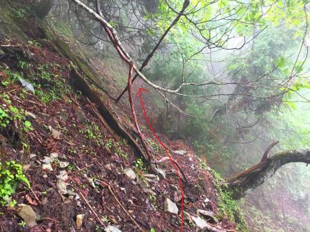 若干の踏み跡ぽい感じのところをひたすらトラバースする