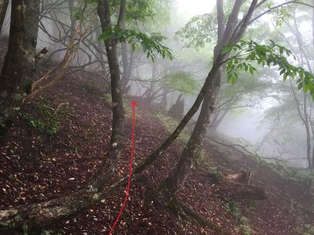 谷を挟むところが2か所あるが、楽々渡れる