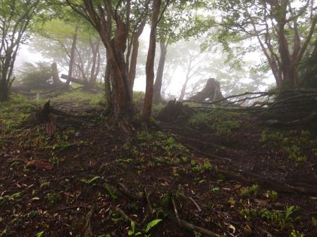 やっと双門ルートに出た。ルーファイが大変でわずか500mほどの距離を45分かかってしまった。ルートの詳細は次の地図に記してある