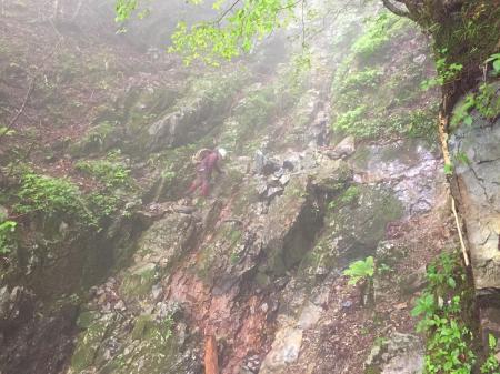 沢に出たがまた巻き。いい加減沢歩かせてくれ！！