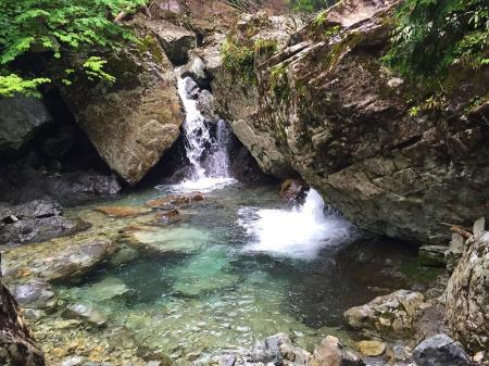 飲んでも美味しそうな沢の水
