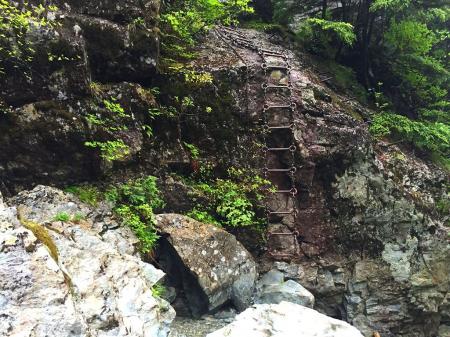 オーバーハングハシゴ