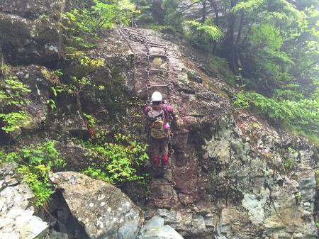 嫁がさっさと登る