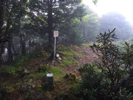 尾根で嫁が休憩している間に以前から気になっていた頂仙岳へ