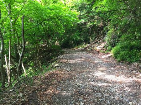 相変わらずの長い林道
