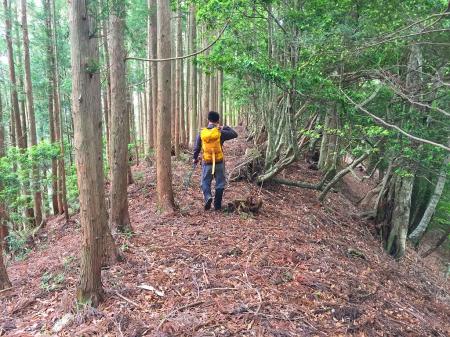 戻り、トサカ尾根を歩く