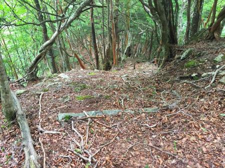 なぜか階段！？