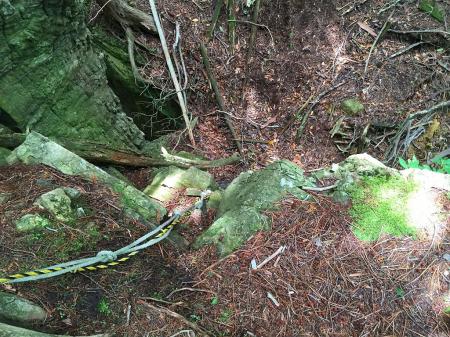 滑りはしないけど、危ないのでやっぱロープだしました