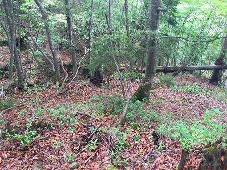 ワイヤーぐるぐる巻き