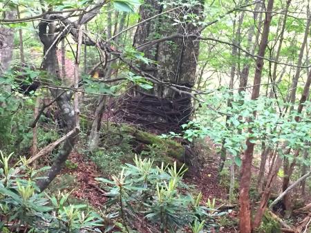 これが皆のいうぐるぐる巻きのワイヤーかな！？付近はワイヤーだらけでぐるぐる巻きたくさんあった