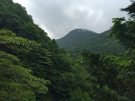 途中で姿を現した頂仙岳