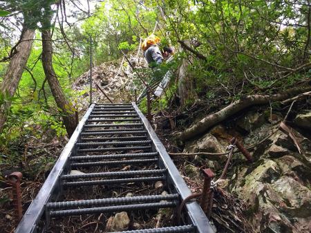 ハシゴをどんどん降りて行きまする