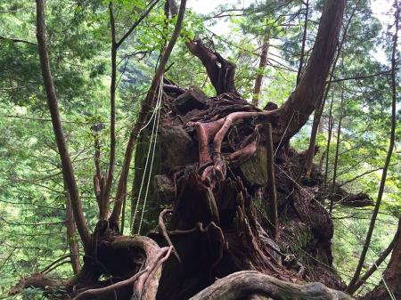 前も撮影したこの場所、今度は下るのか・・・