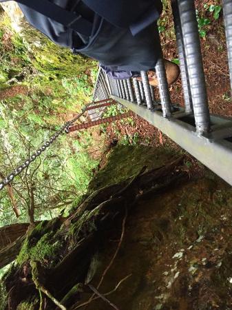 橋の下りも結構な風景です