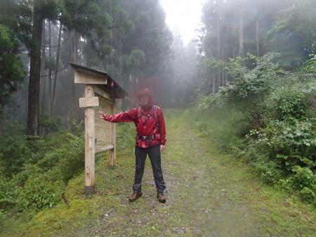 はぁあ～いろんなことありながら、この金引分岐、林道までたどり着いた