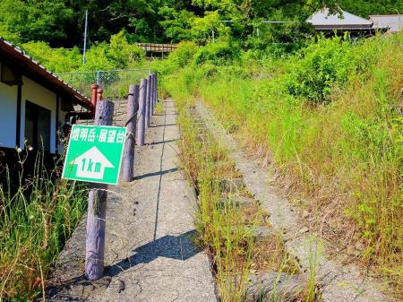 燈明岳・展望台まで1kmと距離は短い。登山道に入る手前は草ボーボーですが踏み跡はあった