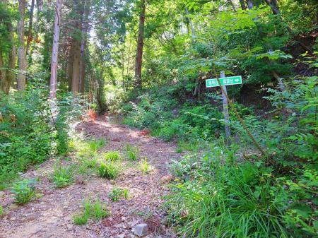 燈明岳までは分岐があるものの道標がちゃんとあるので迷うことはないけど、下りは堀越峠への道標がないので注意