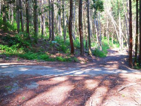 ここで蔵王峠からの林道と思われるところと合流。左の燈明岳のほうへ進んでいく
