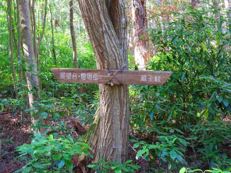 ちゃんと道標があるので迷うことはないと思うけど、やはり下山時は堀越峠への道標はない