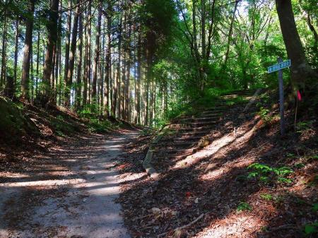 ここで燈明岳、ウッドデッキのほうに行くので右の燈明岳のピークへ登っていく。下山時は左側の林道から戻る