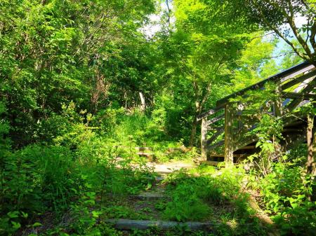 ウッドデッキのところまで登ってきた。本来ならここから夜景を撮影するつもりだったが・・・