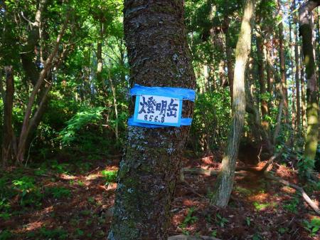 燈明岳山頂(856.8m)の木のプレートがあった。堀越峠からだと登頂は楽だった