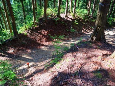 燈明岳から下って林道チックな道と合流する。ここから尾根道で行こうと思ったのだが・・・