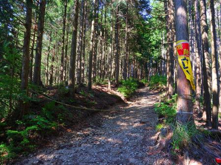 立入禁止だけど自己責任で入ってやろうかと思ったけど何があるのかわからないのでやめておいた