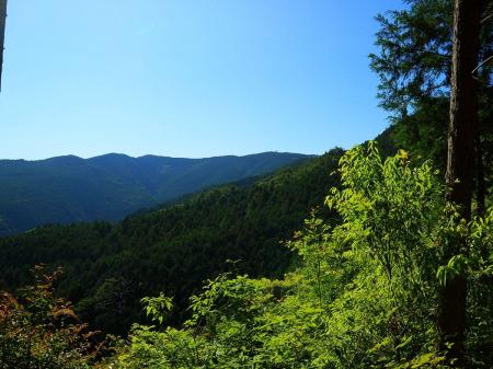 少し展望が良いところがあったので撮影しておいたけど、右側の鉄塔らしきものが見えているところはどこだろう！？