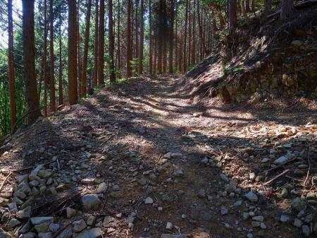 この道はなだらかだけど長い。七越峠まではまだまだ距離がありそうな感じ