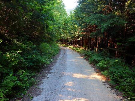 最近は舗装道を歩くのが私の中で流行っているのか。もう舗装道を歩くのも慣れてきたけど面白くはない