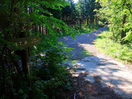 ここでさらに合流。道標に従って右の道を進んでいく