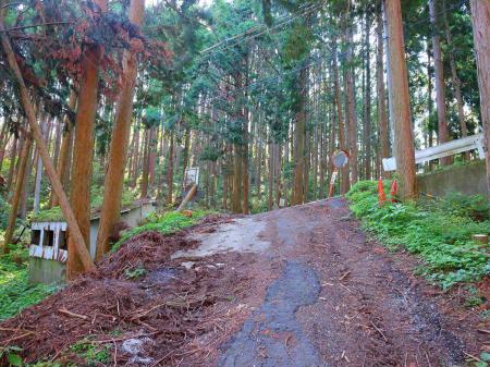 七越峠と思われる場所に到着。ここまで林道チックな道が長かったけど下山はショートカットできそうな登山道を使おうと心に決めていた