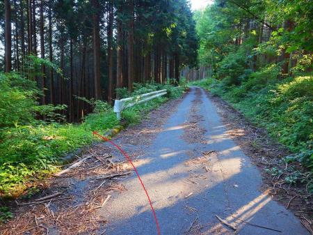 下山時はこのガードレール手前の左側の登山道で下りていく。地理院地図にも破線はあって、ここから下るとかなりショートカットできそう