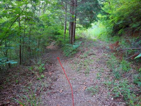 ここだけは左側の登山道。右側の先は草むらで道がなくなる