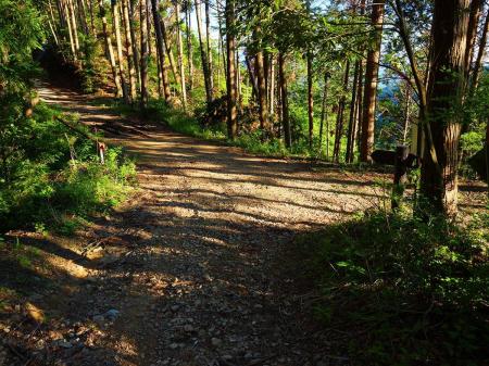 通ってきた林道ちっくな道と合流した。予想通り、距離はかなりショートカットできたようだ