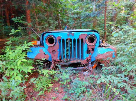 途中でかなり昔の車が捨ててあった。行者還岳に登るときのタイタンほど珍しい感じはないけど、かなり古い車種だと思われる