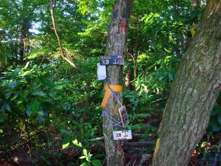 畑山(818m)に到着。ただのピークハントにすぎないけどピストンするよりマシなので・・・