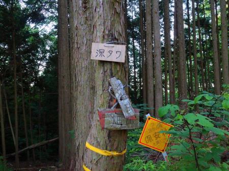 このコル部は深タワというらしい。わざわざこんなところに木のプレートを設置した人もすごいけどね