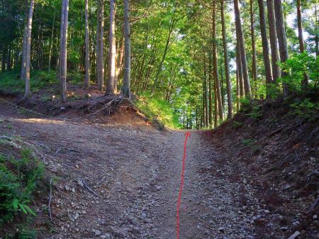 燈明岳から下ってきた地点まで戻ってきた。もう燈明岳に登る必要はないので直進してピークを巻く