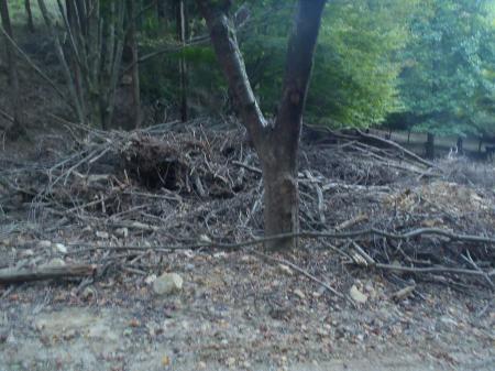 災害で崩壊している