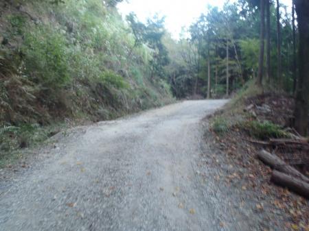 しばらく舗装道が続く