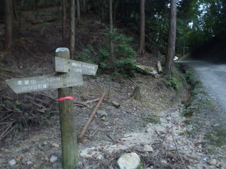 最初の分岐。ここはまっすぐ