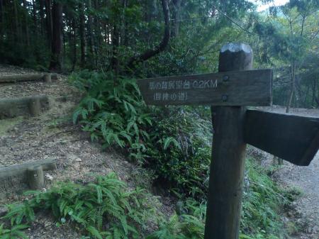 馬の背展望台（冒険の道）を目指すので左へ