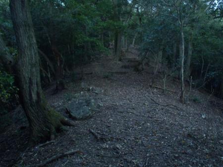 馬の背展望台より野鳥観察小屋を目指す。ここから急登になる