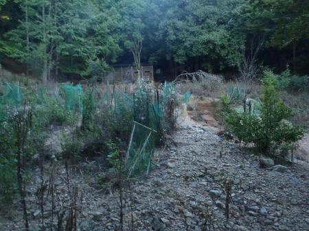 野鳥観察小屋がみえたがルートが崩壊している