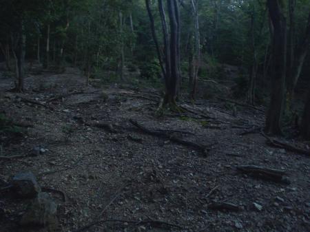 ここ少し間違いやすいが左をあがる。まっすぐいっても行き止る